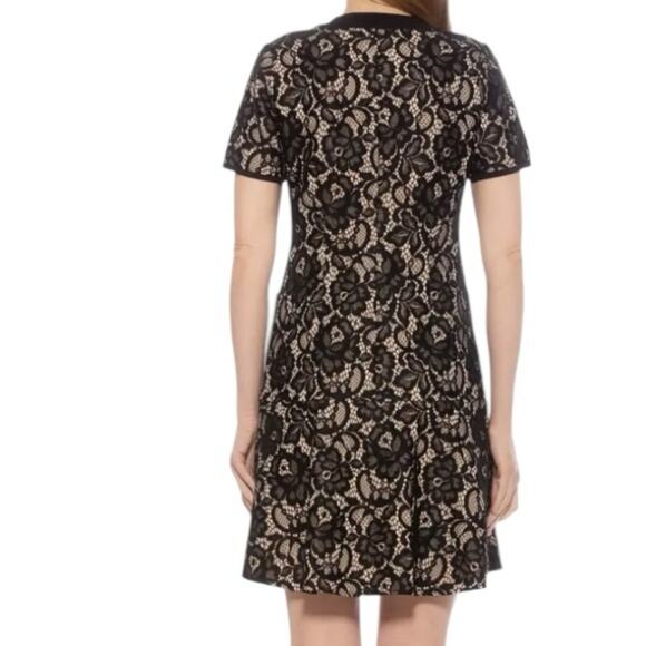 Alexia Admor Brecken Lace Dress Black Nude Button Front size 6 - Picture 2 of 11